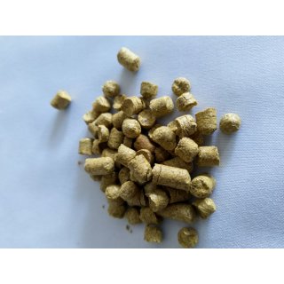 Perle Pellets Typ 90 ca. 8,5 % Alpha 